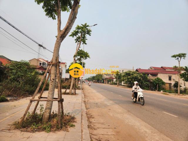 Nhà mặt phố bán