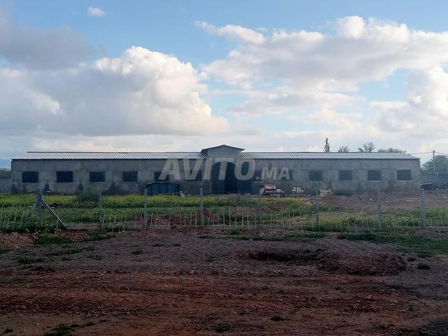 Local commercial location à L'Oriental