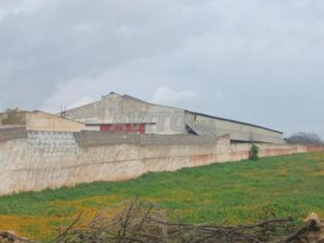 Local commercial location à Sidi Hajjaj Oued Hassar, Gharb-Chrarda-Beni Hssen
