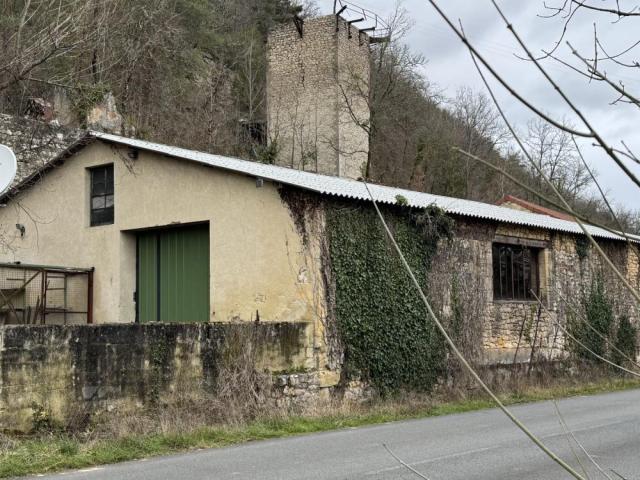 Maison vente à Sarlat-la-Canéda, Castels