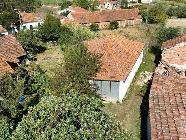 Armazém venda em Valteira, Rio Maior