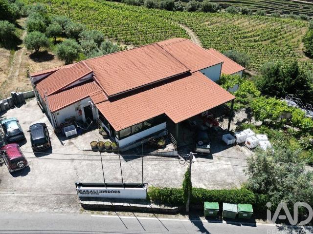 Loja venda em Nagoselo Do Douro, Viseu