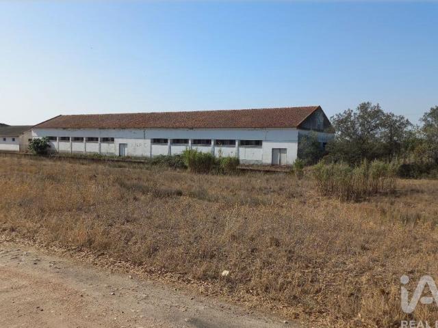 Armazém venda em Mora, Évora