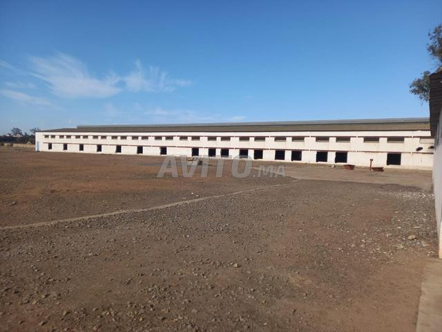 Local commercial location à Anfa, Gharb-Chrarda-Beni Hssen