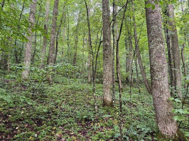 Land for sale in Belington, West Virginia