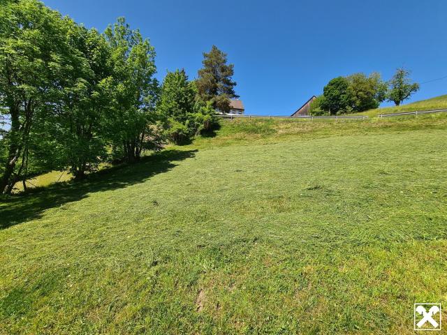 Grundstück kaufen in Zwischenwasser, Vorarlberg