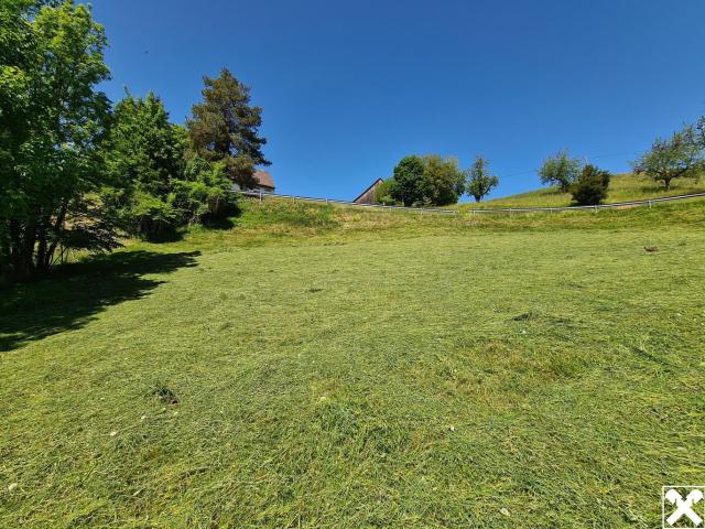 Grundstück kaufen in Zwischenwasser, Vorarlberg
