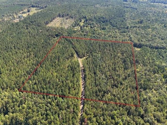 Land for sale in Georgiana, Alabama