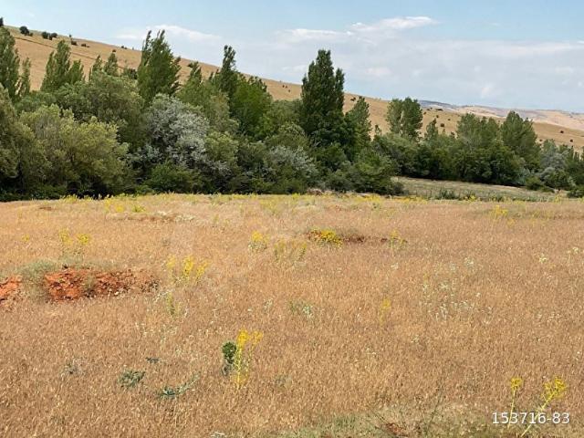 Elazığ Merkez, Elaziğ içerisinde satılık Arsa
