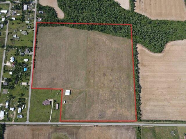 Land for sale in Altha