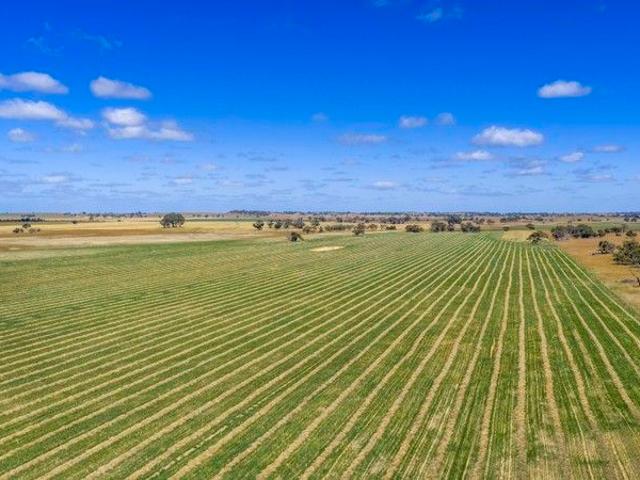 Cottage for sale in Keith, South Australia