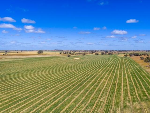 Property for sale in Keith, South Australia