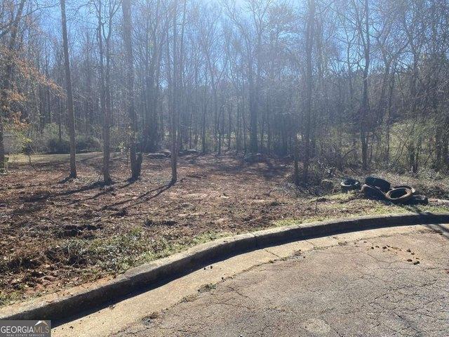 Land for sale in Barnesville, Georgia