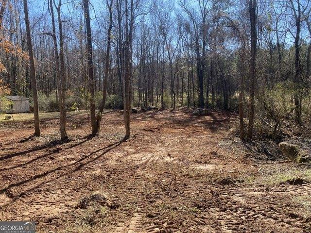 Land for sale in Barnesville, Georgia