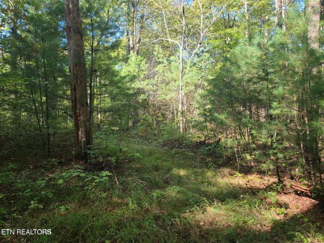 Land for sale in Tennessee