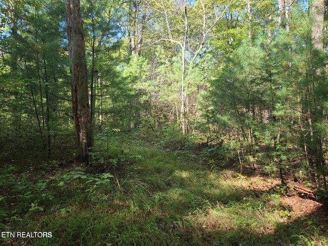Land for sale in Tennessee
