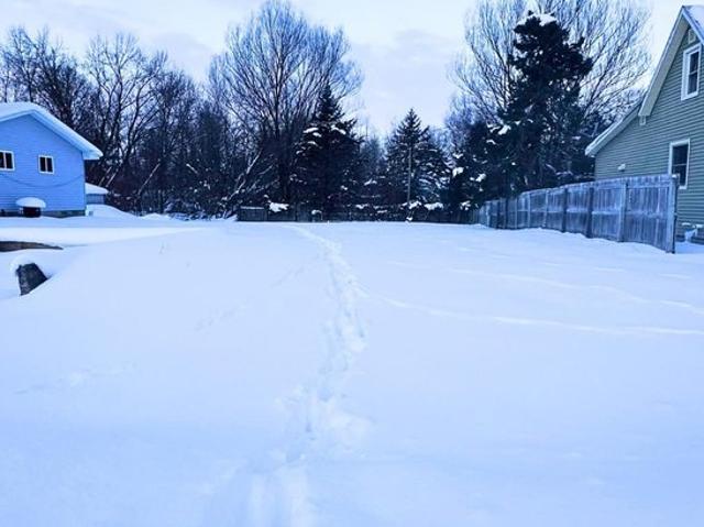 Land for sale in Boyne City, Michigan
