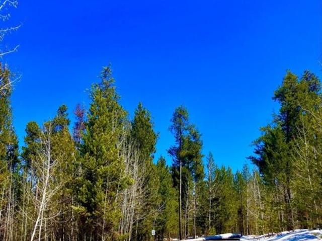 Land for sale in Ashton, Idaho