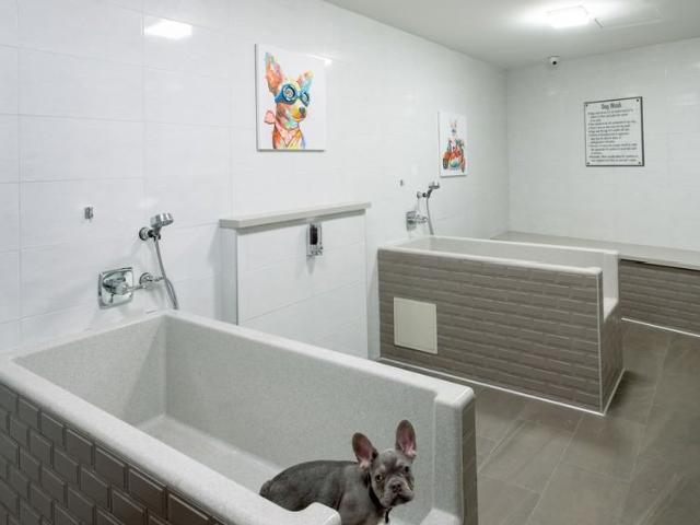 Apartment for rent in Koreatown Northgate, Oakland