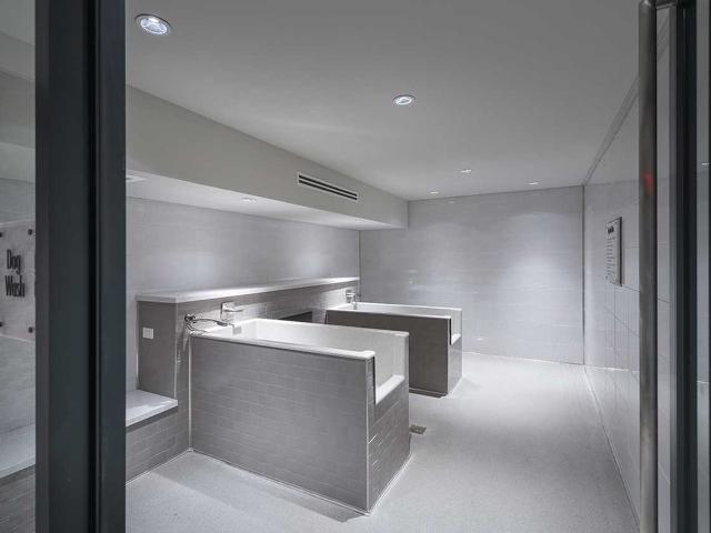 Apartment for rent in Atlanta, Georgia