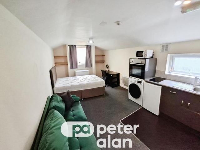 Apartment for rent in Brynmill, Swansea