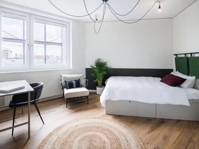 Apartment mieten in Innenstadtring, Munster
