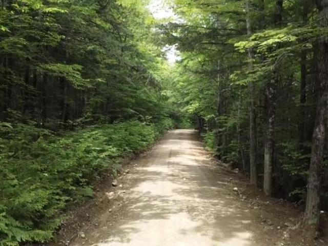 Land for sale in Wilton, Maine