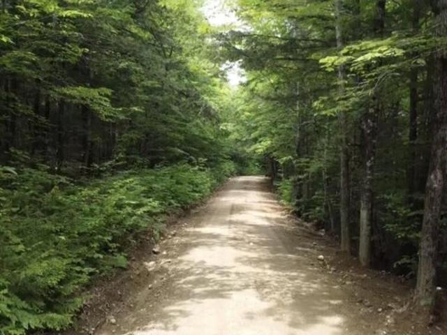 Land for sale in Wilton, Maine