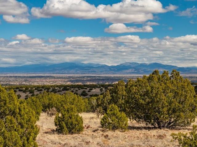 Land for sale in Los Cerrillos, Santa Fe County