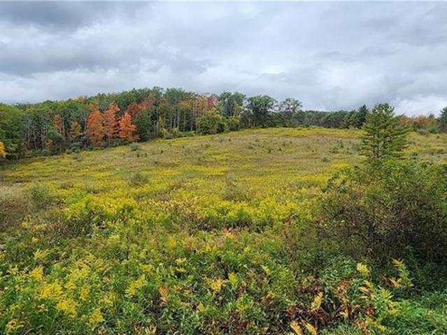 Land for sale in Canisteo, New York
