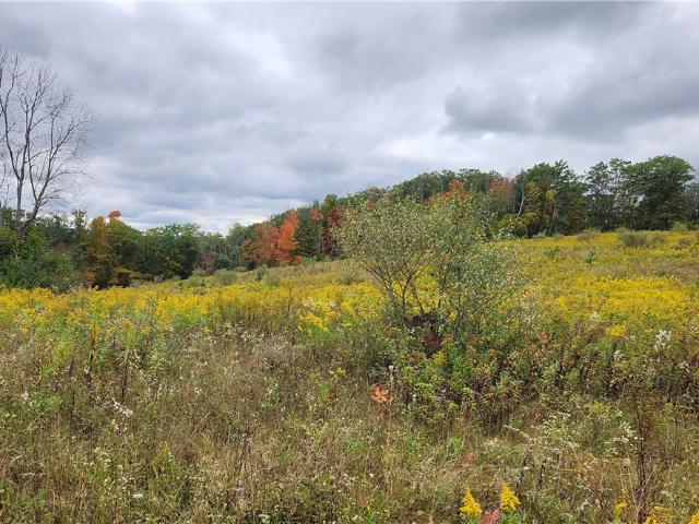 Land for sale in Canisteo, New York