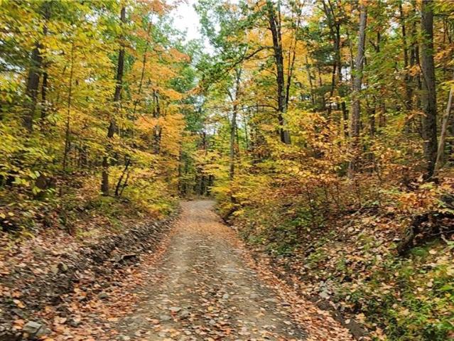 Land for sale in Canisteo, New York