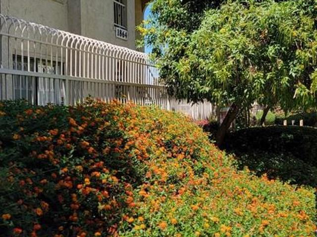 Apartment for rent in Riverside, California