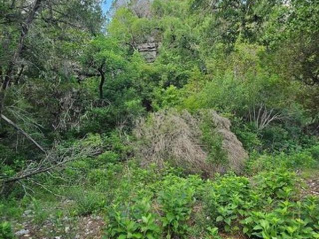 Land for sale in New Braunfels, Texas