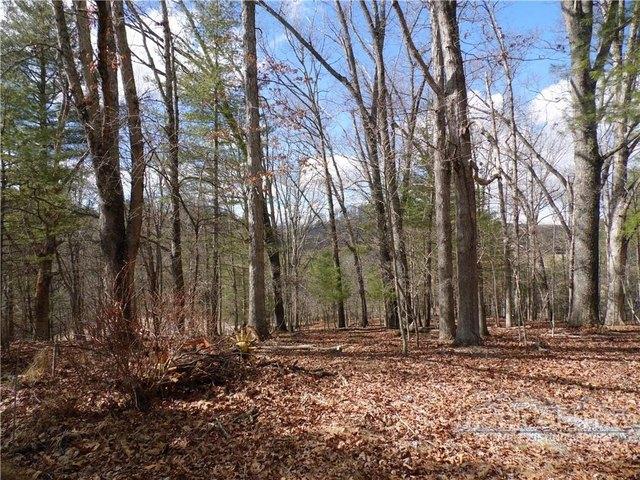 Land for sale in Alleghany, North Carolina