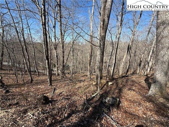 Land for sale in Alleghany, North Carolina