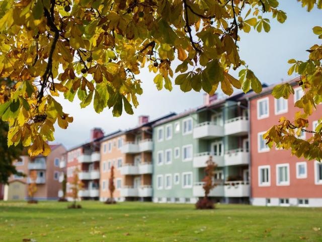 Lägenhet hyra i Ljungby, Kronoberg