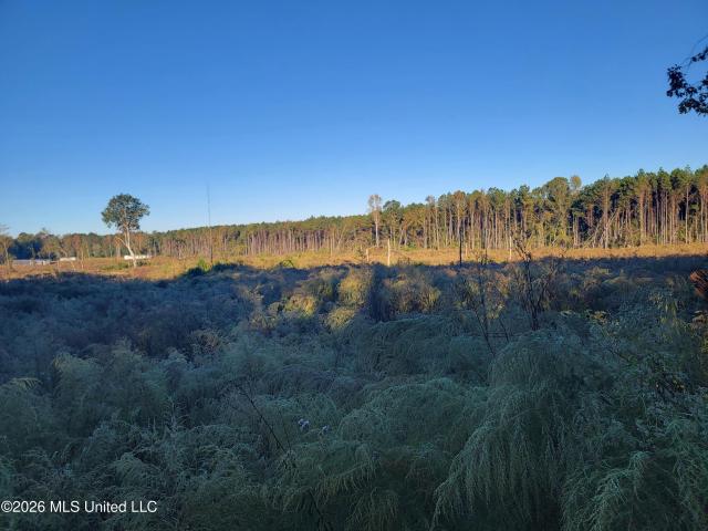 Land for sale in Forest, Scott County