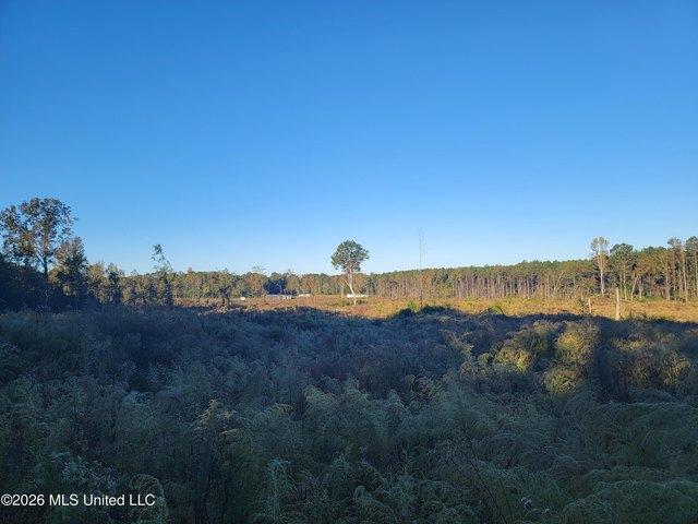 Land for sale in Forest, Mississippi