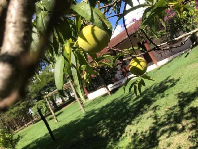 Sítio e chácara venda em Cerquilho, São Paulo