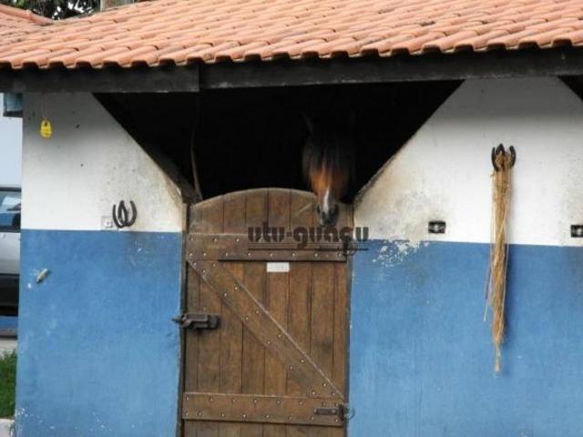 Sítio e chácara venda em Região Imediata de Tatuí, Quadra