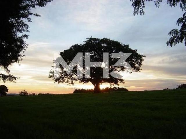 Sítio e chácara venda em Região Imediata de Campinas, Região Metropolitana de Campinas