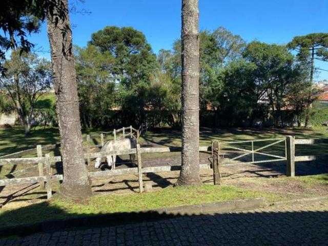 Sítio e chácara venda em Região Geográfica Imediata de Curitiba, Região Metropolitana de Curitiba