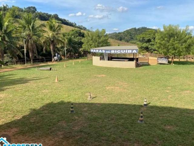 Sítio e chácara venda em Região Geográfica Imediata de Ipatinga, Belo Oriente