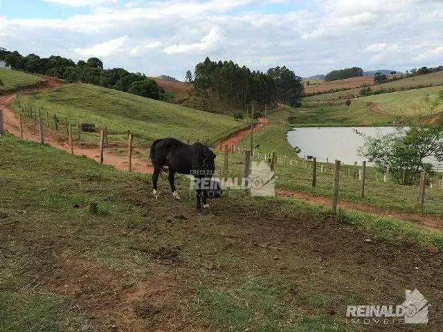 Fazenda venda em Região Imediata de Bragança Paulista, Bragança Paulista