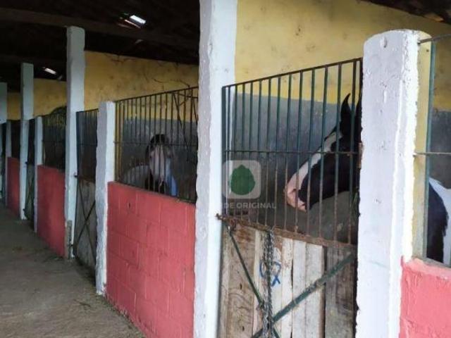 Sítio e chácara venda em Região Imediata de Taubaté-Pindamonhangaba, Região Metropolitana do Vale do Paraíba e Litoral Norte
