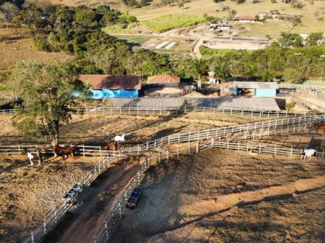 Sítio e chácara venda em Piracema