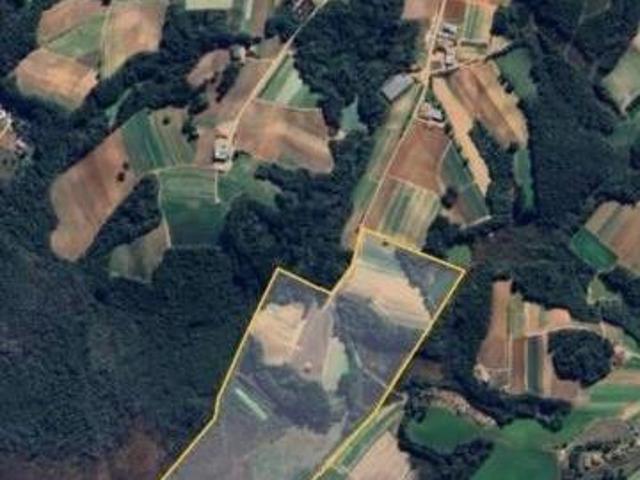 Sítio e chácara venda em Região Geográfica Imediata de Curitiba, Região Metropolitana de Curitiba