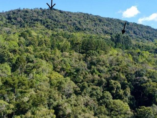 Sítio e chácara venda em Região Geográfica Imediata de Caxias do Sul, Gramado