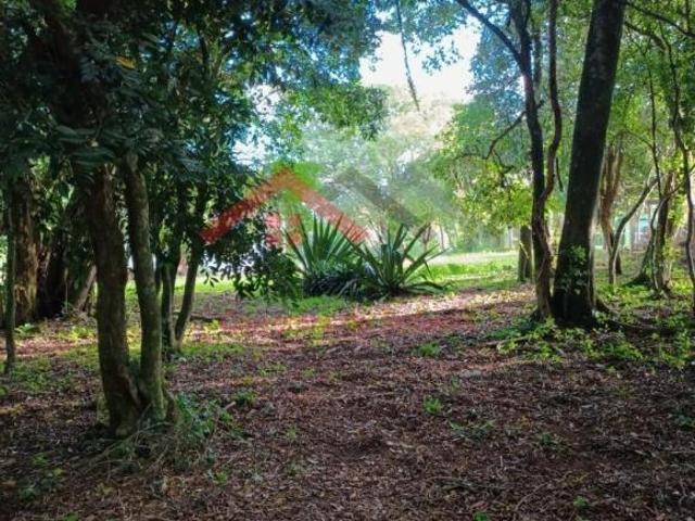 Sítio e chácara venda em Região Geográfica Imediata de Porto Alegre, Região Metropolitana de Porto Alegre